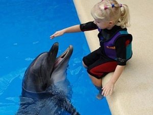 дельфинотерапия и аутизм