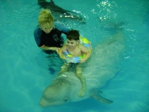 эффективность дельфинотерипии при аутизме