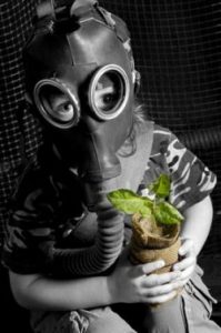 чистка организма