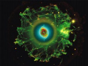 как расчитать овуляцию