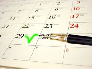 сроки овуляции