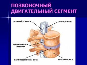 остеохондроз позвоночника