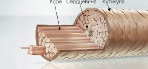 зачем нужно ламинирование
