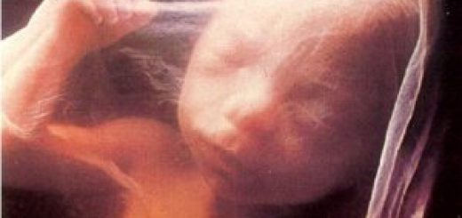 четвертый месяц беременности