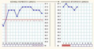 базальная температура график