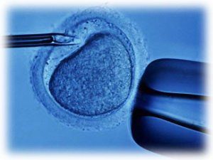 от чего зависит пол ребенка