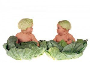 запланировать пол ребенка