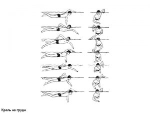 научиться плавать кролем