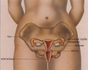 как вызвать месячные