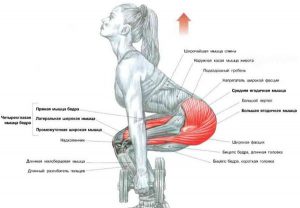 приседания
