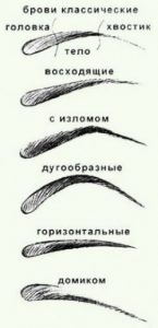строение бровей