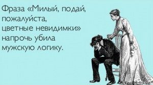 мужская логика погибла