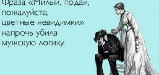 мужская логика погибла