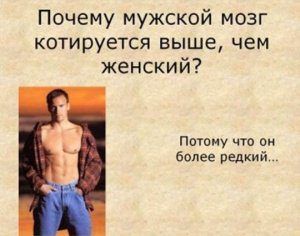 почему мужская логика лучше