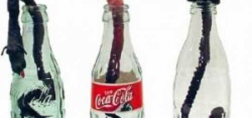 coca cola