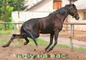 Шуточные пожелания и предсказания на Новый год