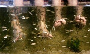 ихтиотерапия