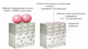 молекулы гиалуроновой кислоты