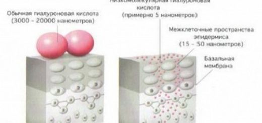 молекулы гиалуроновой кислоты
