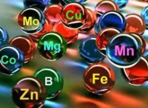 микроэлементы молодости кожи