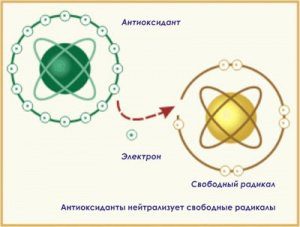 польза антиоксидантов