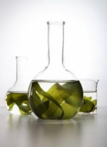 антивозрастные экстракты