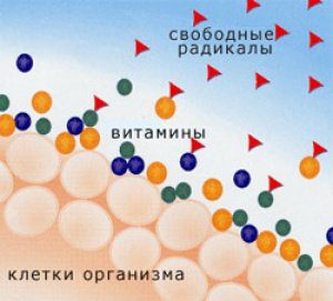 витамины и оксиданты