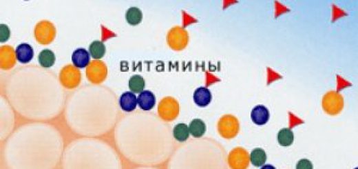 витамины и оксиданты