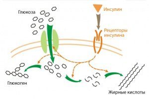 диабет 2 типа
