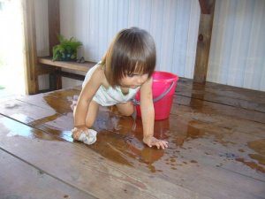 Маленькая хозяйка