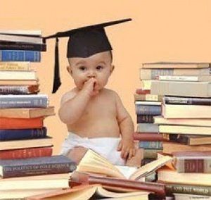 системность