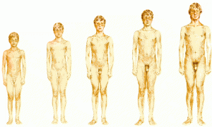 период полового созревания мальчиков