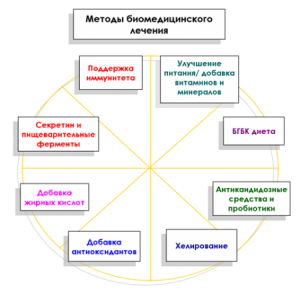 биомедицинское лечение аутизма