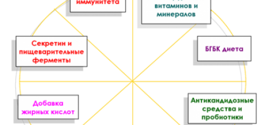 биомедицинское лечение аутизма