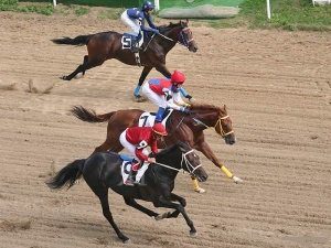 жокейская диета