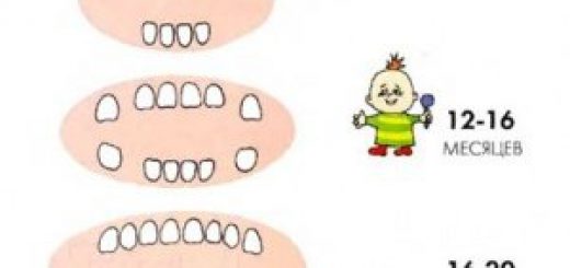 сроки прорезывания зубов