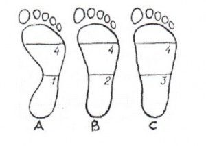 Свод считается нормальным - рис. А - 1:4; уплощенным - рис. В - 2:4; плоским - рис. С - 3:4