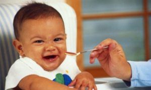 когда вводить прикорм