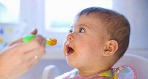 первый прикорм