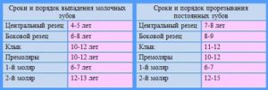 сроки прорезывания постоянных зубов
