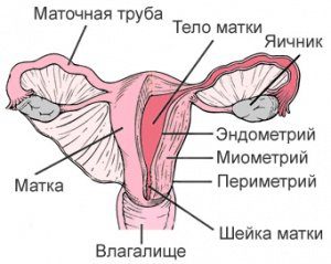 тонус при беременности симптомы