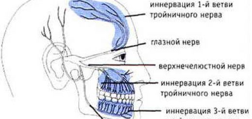 тройничковый нерв