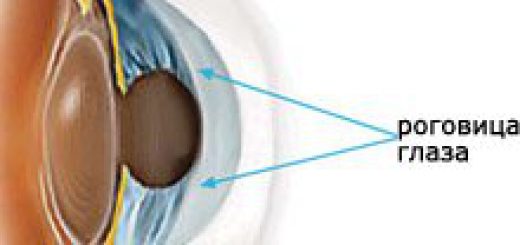 cornea.jpg