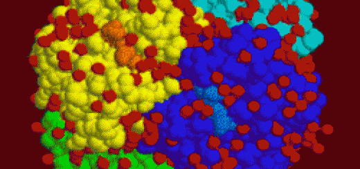d678f6a89f-1222271345.gif