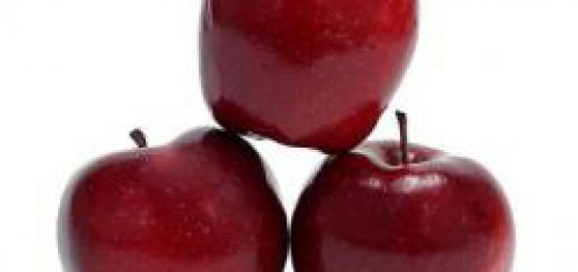 red_chif.jpg