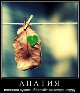 1286098033_899619_a-p-a-t-i-ya.jpg