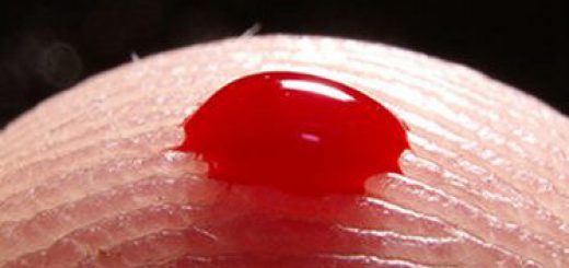 fresh-blood.jpg