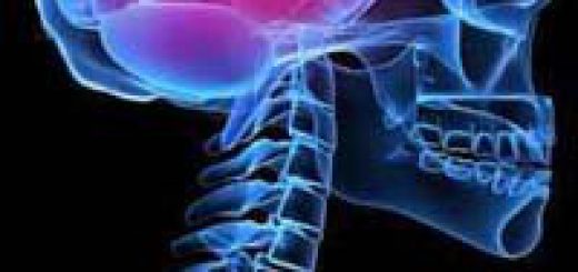 neurology4.jpg