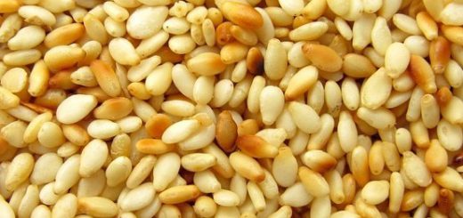 sesame.jpg