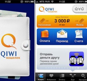 04-qiwi.jpg